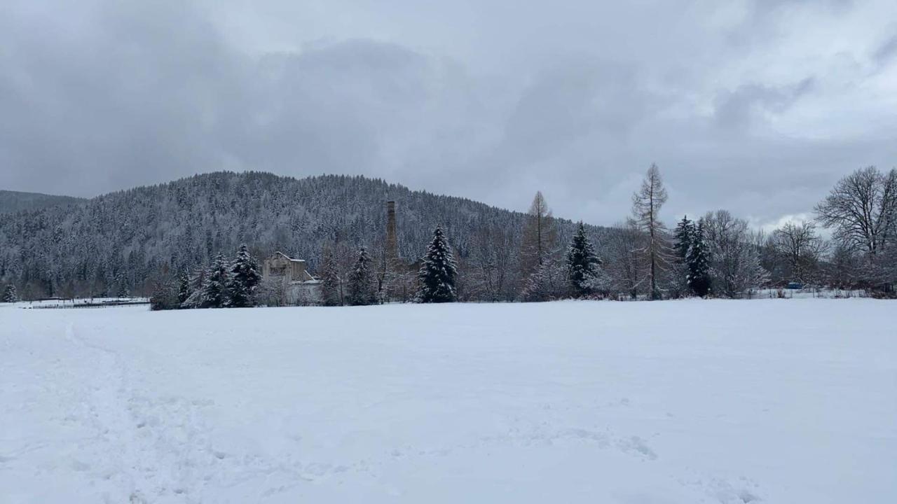 A 2 Pas Du Lac Apartamento Xonrupt-Longemer Exterior foto