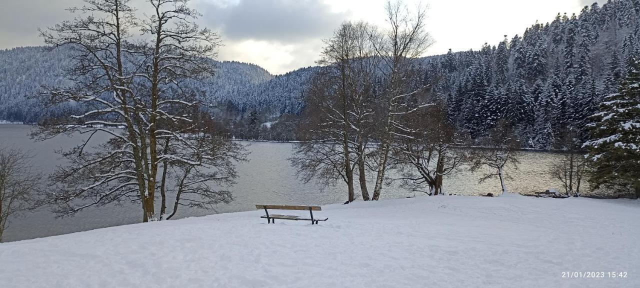 A 2 Pas Du Lac Apartamento Xonrupt-Longemer Exterior foto
