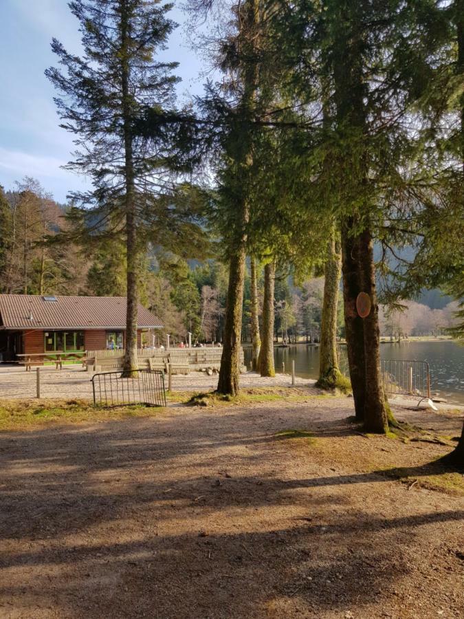 A 2 Pas Du Lac Apartamento Xonrupt-Longemer Exterior foto